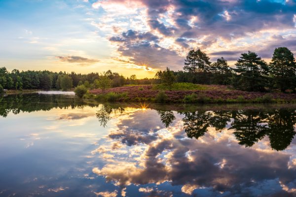 Sonnenaufgang am Angelbecksteich bei Hermannsburg  - Panorama