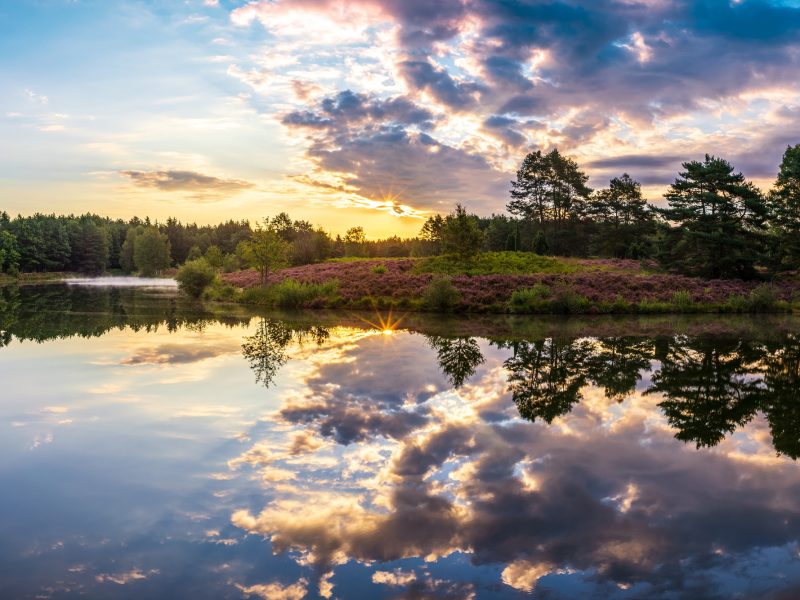 Sonnenaufgang am Angelbecksteich bei Hermannsburg  - Panorama